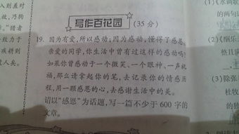 最感謝的老師600字作文開(kāi)頭
