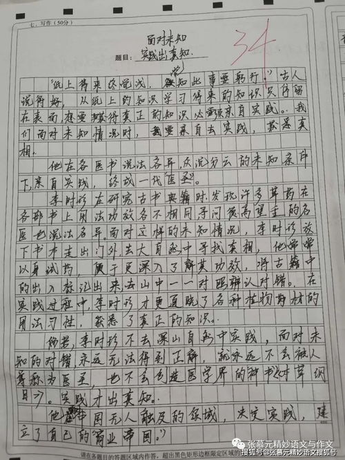 那一次我成功了初三作文開頭結(jié)尾