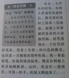 我心愛(ài)的東西作文開(kāi)頭
