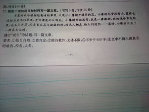 以山寨現象為話(huà)題的作文開(kāi)頭