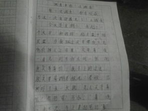 調查報告范文五百字(調查報告范文五百字)