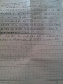 我的一個(gè)小伙伴600字作文開(kāi)頭