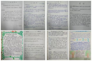 珍愛(ài)生命四級開(kāi)頭作文
