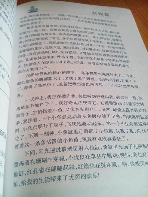 描述外貌自己作文開(kāi)頭