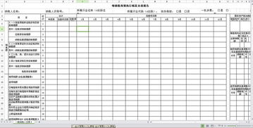 政策執行情況自查報告(政策執行情況自查報告)