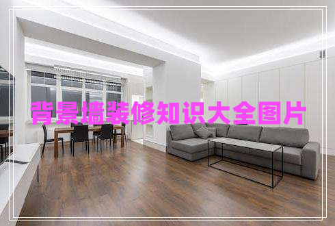 背景墻裝修知識大全圖片