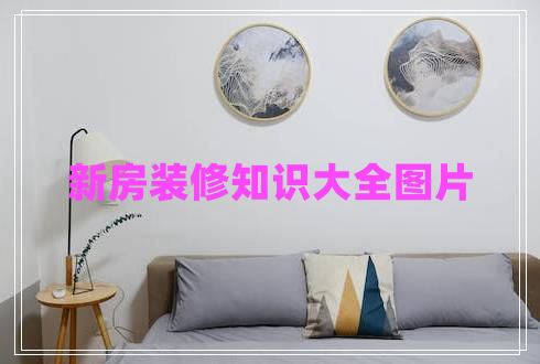 新房裝修知識大全圖片