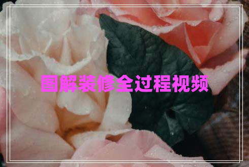 圖解裝修全過(guò)程視頻