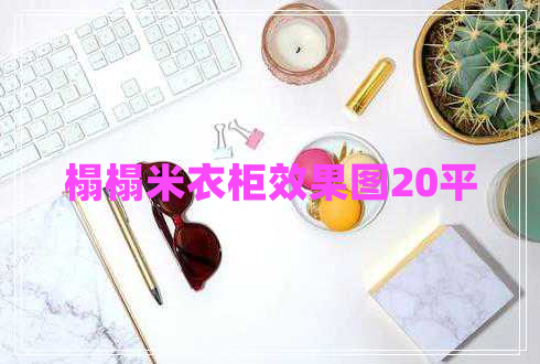 榻榻米衣柜效果圖20平