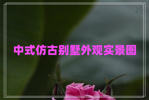 中式仿古別墅外觀(guān)實(shí)景圖