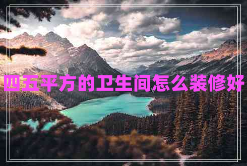 四五平方的衛生間怎么裝修好