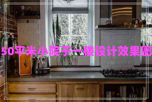 50平米小院子一樓設計效果圖