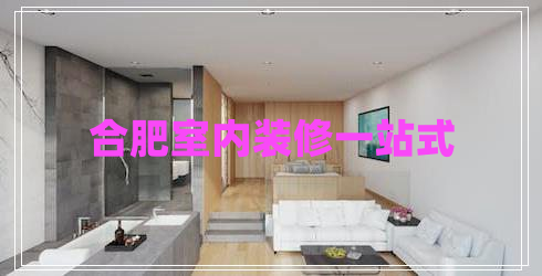 合肥室內裝修一站式