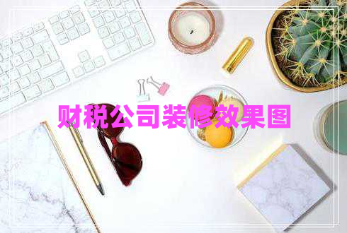 財稅公司裝修效果圖