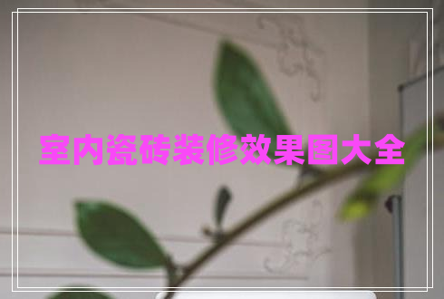 室內瓷磚裝修效果圖大全