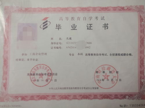 中南財經(jīng)政法大學(xué)自考本科多少錢(qián)