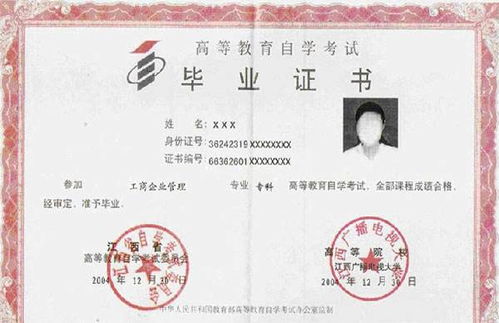 自考專科能接本科嗎
