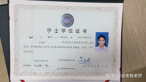 護理自考本科可以考護師嗎