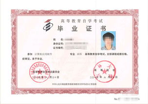 自考成人本科論文