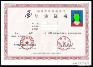 自考本科數字媒體技術(shù)