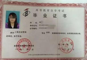 自考本科畢業(yè)有必要上統招本科嗎