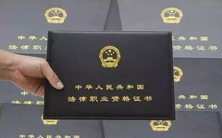 法律職業(yè)資格考試自考本科能報名嗎
