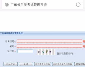 自考本科如果不報班怎么考