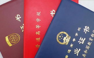 政府補貼本科一萬(wàn)包含自考嗎