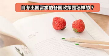 公立學校承認自考本科嗎