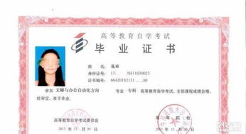 自考本科查分數