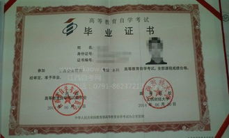 江西自考英語(yǔ)本科考幾次