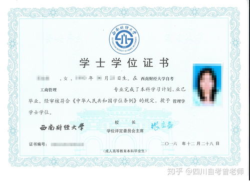 自考電子商務(wù)本科論文