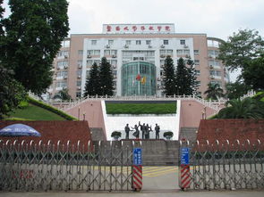 暨南大學(xué)華文學(xué)院自考本科