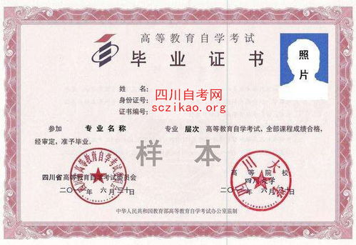 小學(xué)文憑可以自考本科么