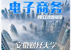 安徽財經(jīng)大學(xué)自考本科課程