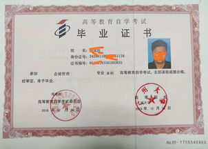 廣州中大本科自考