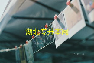 自考本科有找到好工作的么