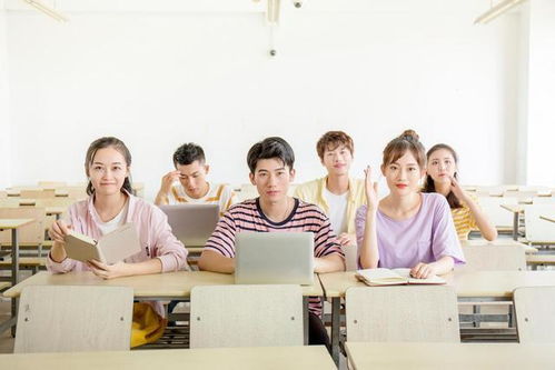 自考本科學(xué)信網(wǎng)怎么沒(méi)學(xué)籍
