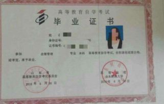 普通高校本科包括自考嗎