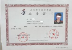 自考本科應屆生報考研究生