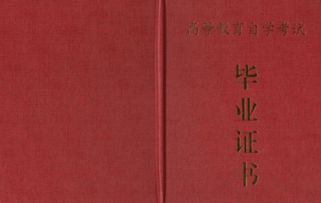 自考本科不考英語(yǔ)拿學(xué)位