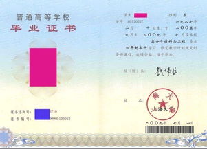 自考動(dòng)畫(huà)設計本科山東