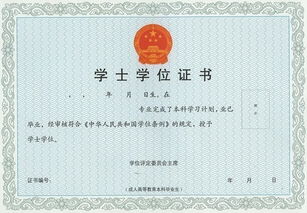 自考本科網(wǎng)絡(luò )教育考試