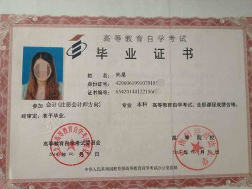 自考本科期間找什么工作