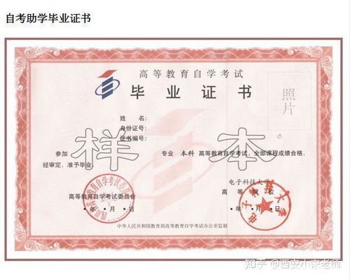 高職大專(zhuān)學(xué)歷可以自考本科嗎