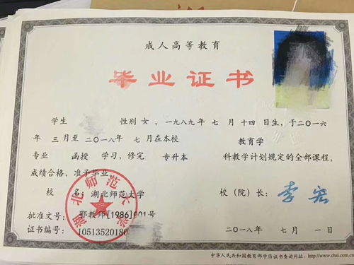 專(zhuān)科畢業(yè)還能自考本科嗎