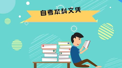 自考里面基礎段和本科段的區別
