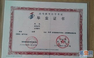 川大自考本科網(wǎng)絡(luò )