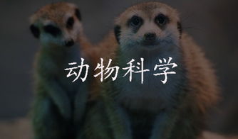 自考動(dòng)物科學(xué)本科
