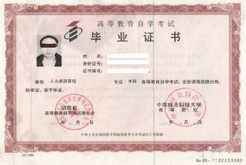 自考本科可以報考幾個(gè)